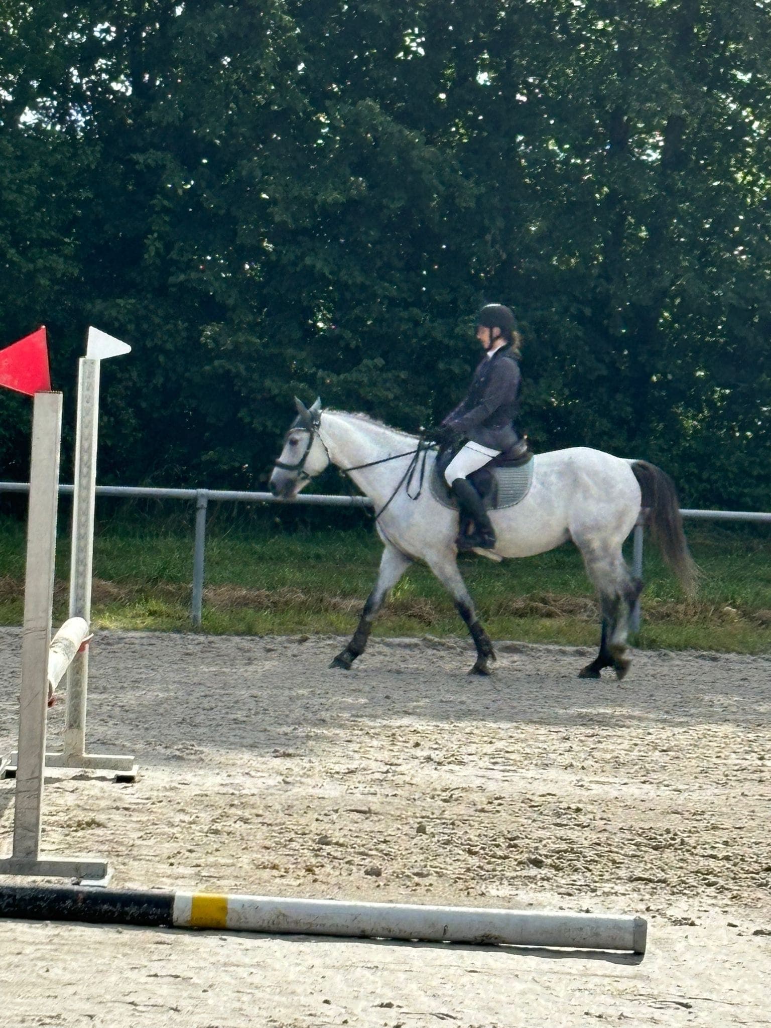 Nitro Van het Peggershof — Cheval de Grand Prix