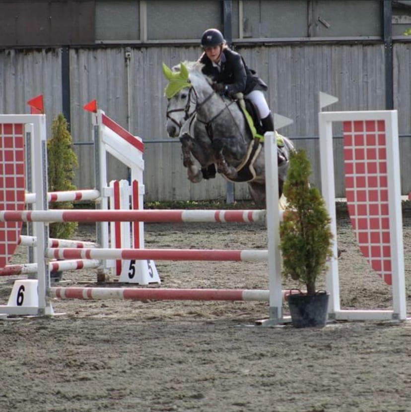 En concours d'obstacle, saison 2025