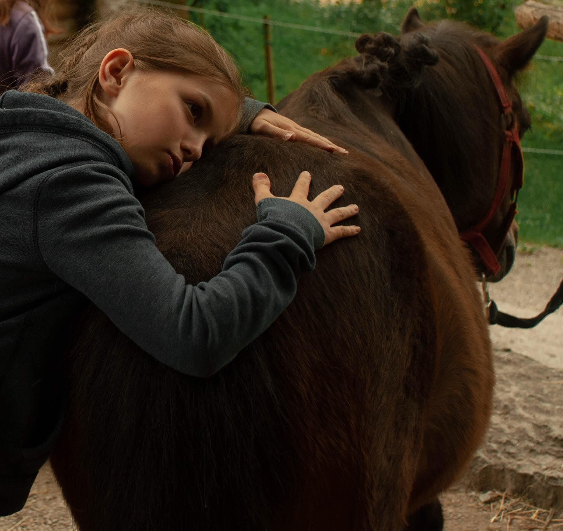 Complicité entre une cavalière et son cheval